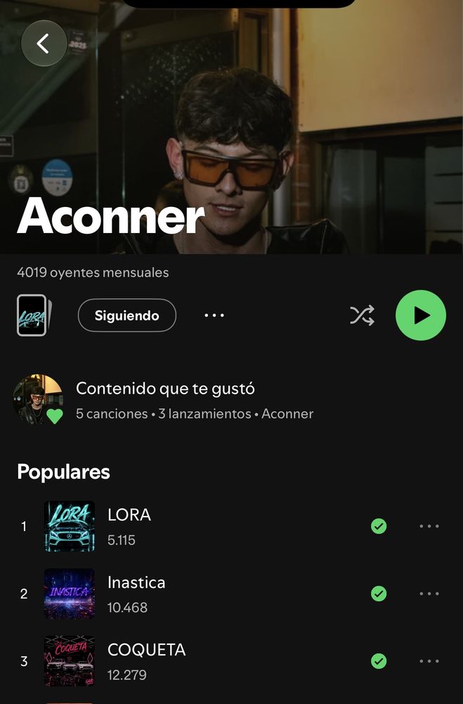 Captura del perfil de artista de Aconner en Spotify con 4019 oyentes mensuales